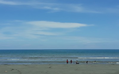 Pengunjung dan Hewan Pantai